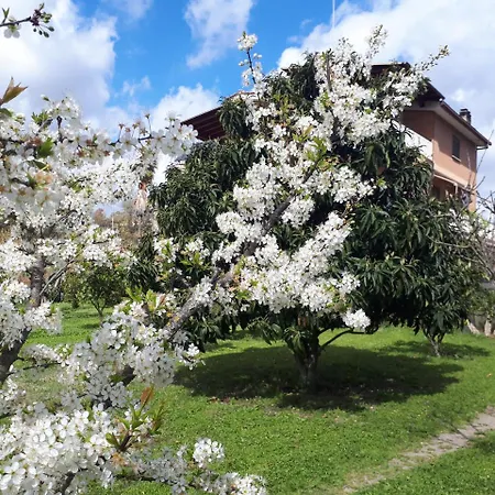 B&B Il Giardino Di Gabri