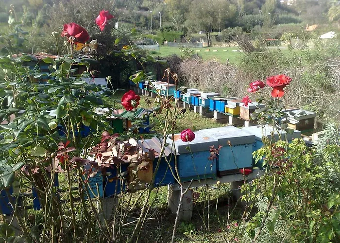 Il Giardino Di Gabri Bed & Breakfast