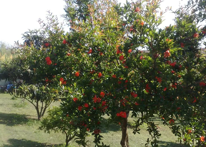 Il Giardino Di Gabri 4*