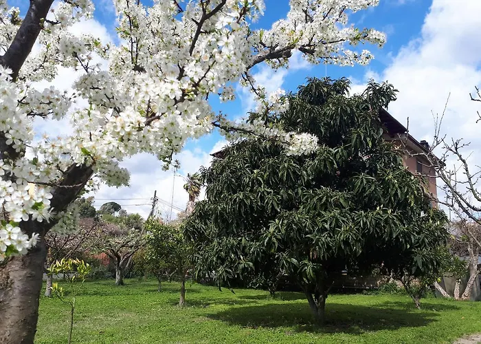 Il Giardino Di Gabri Rome