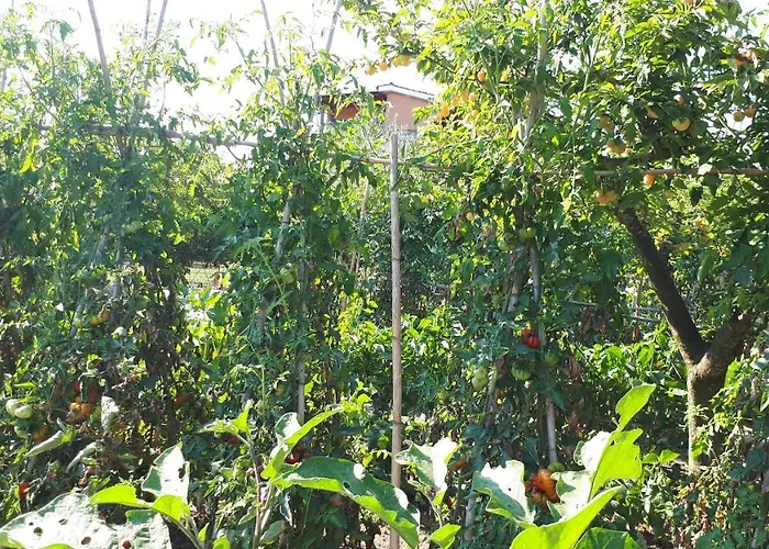 Il Giardino Di Gabri 4*